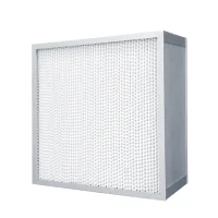 Pleated HEPA Filter2